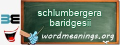 WordMeaning blackboard for schlumbergera baridgesii